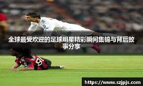 [中超]米内罗两传一射 上海申花力克河南俱乐部